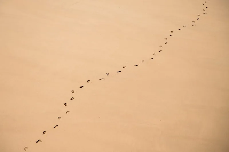 Loopbaancoaching: samen in gesprek over je volgende koers